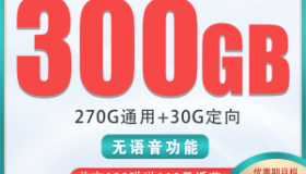 电信河神卡 39元包300G流量 超大流量卡推荐 长期流量套餐